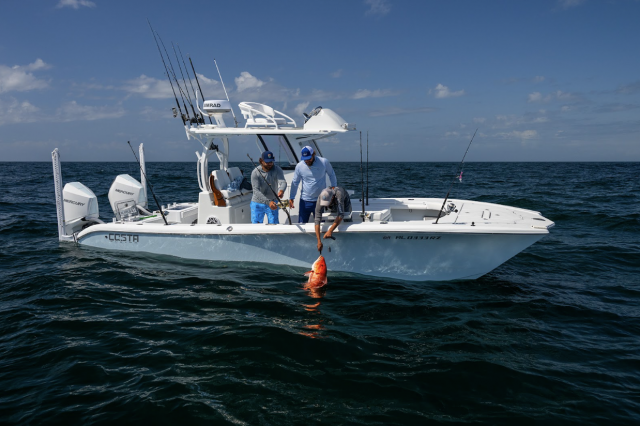 Anglers on a boat releasing a snapper.